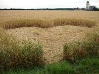 Glücklich in Breitenfelde-S Paap.jpg