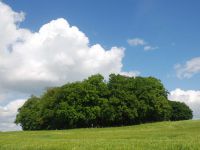 Oldenburger Wall-1-Mcnab.jpg