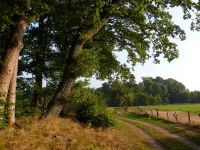 Am Lottsee-Eggers .jpg