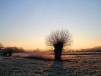 Winterstimmung-Otte.jpg