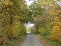Der Weg ist das Ziel-S Paap.jpg