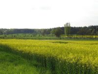 Das Glück dieser Erde in der Elmsrade-S Paap.jpg