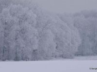 Winter am Mühlenweg-Sabine Bengtsson-3.jpg